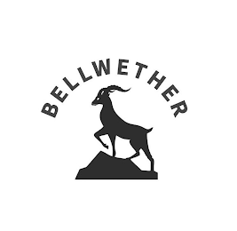 BELLWETHER