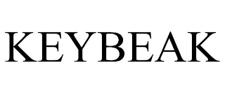 KEYBEAK