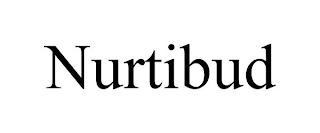 NURTIBUD