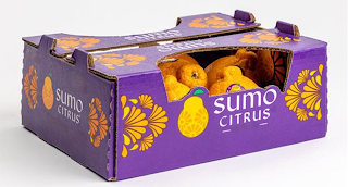 SUMO CITRUS