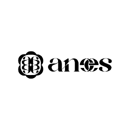 AAAA ANEES