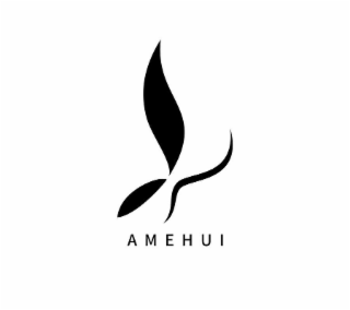 AMEHUI