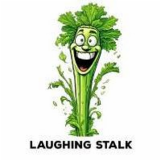 LAUGHING STALK