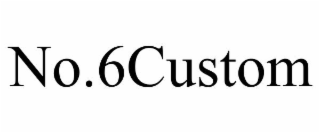 NO.6CUSTOM
