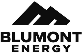 BLUMONT ENERGY