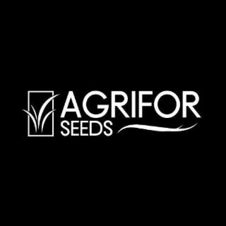 AGRIFOR SEEDS
