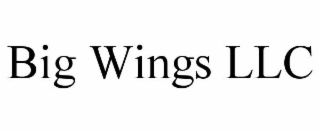 BIG WINGS LLC