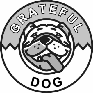 GRATEFUL DOG