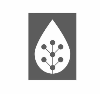 Image Trademark