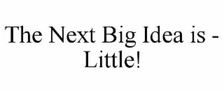 THE NEXT BIG IDEA IS - LITTLE!