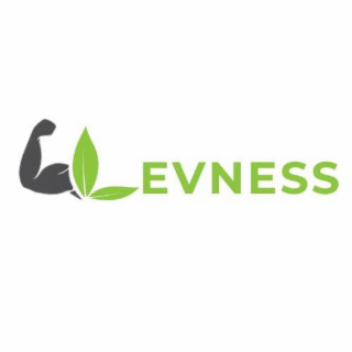 LEVNESS