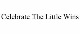 CELEBRATE THE LITTLE WINS
