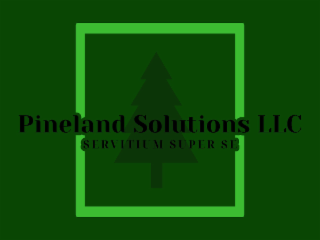 PINELAND SOLUTIONS LLC SERVITIUM SUPER SE