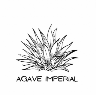 AGAVE IMPERIAL