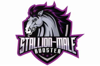 STALLION-MALE BOOSTER