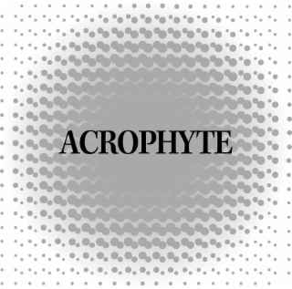 ACROPHYTE