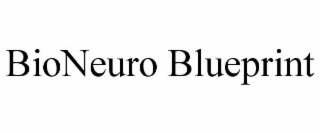 BIONEURO BLUEPRINT