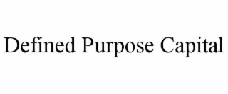 DEFINED PURPOSE CAPITAL