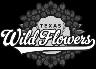 TEXAS WILDFLOWERS