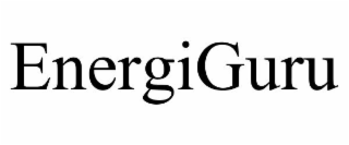 ENERGIGURU