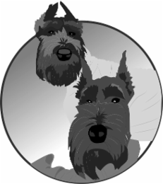Image Trademark