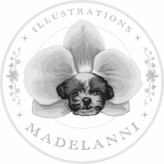 MADELANNI, ILLUSTRATIONS