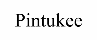 PINTUKEE