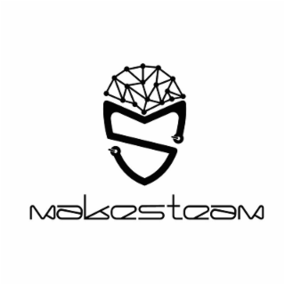 MAKESTEAM