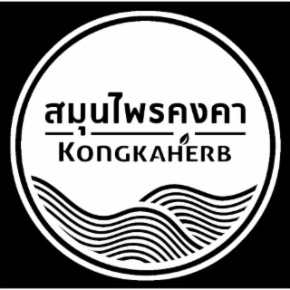 KONGKAHERB