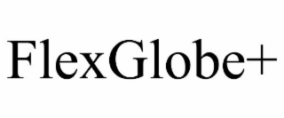 FLEXGLOBE+