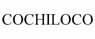 COCHILOCO