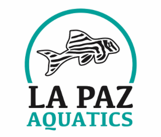 LA PAZ AQUATICS