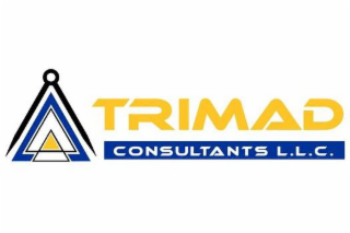 TRIMAD CONSULTANTS L.L.C.