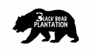 BLACK BEAR PLANTATION