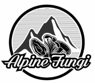 ALPINE FUNGI