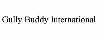 GULLY BUDDY INTERNATIONAL