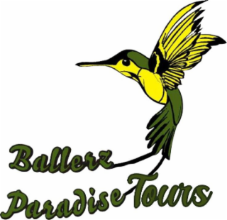 BALLERZ PARADISE TOURS