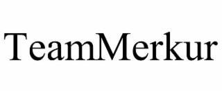 TEAMMERKUR