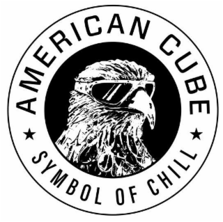 AMERICAN CUBE SYMBOL OF CHILL