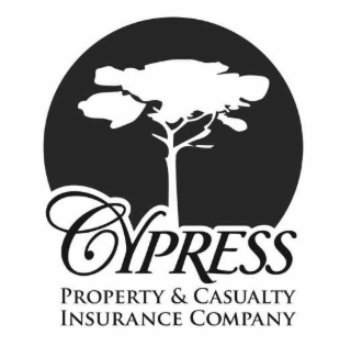 CYPRESS PROPERTY & CASUALTY INSURANCE COMPANY