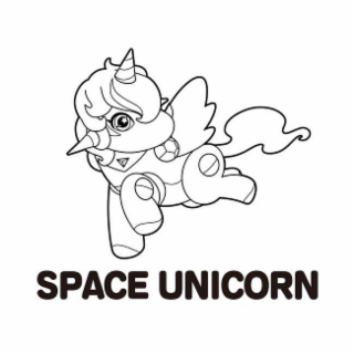 SPACE UNICORN