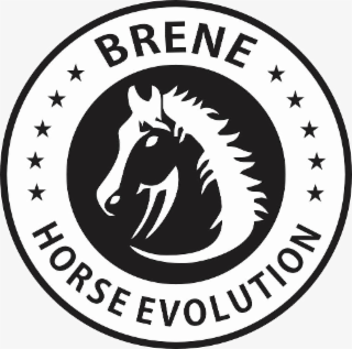 BRENE HORSE EVOLUTION