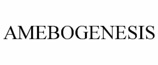 AMEBOGENESIS
