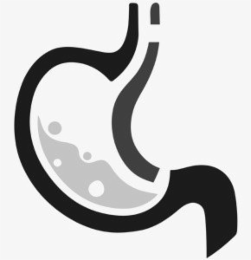 GI