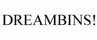 DREAMBINS!