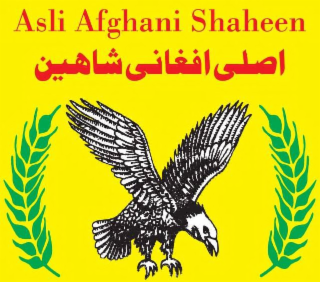 ASLI AFGHANI SHAHEEN