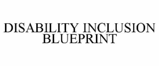 DISABILITY INCLUSION BLUEPRINT