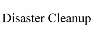 DISASTER CLEANUP