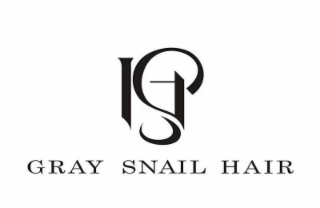 GRAY SNAIL HAIR