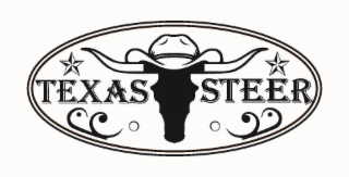 TEXAS STEER